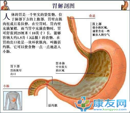 QQ截图20120615204019.png