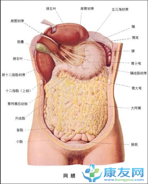 QQ截图20120615204028.png