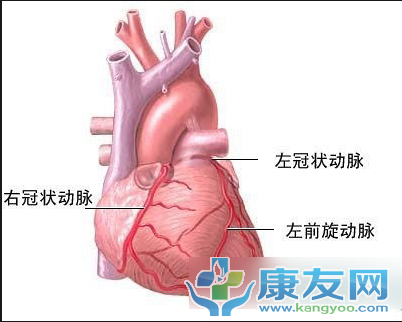 QQ截图20120615204044.png