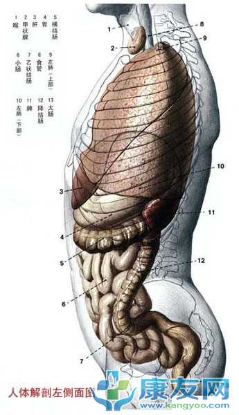 QQ截图20120615204119.png