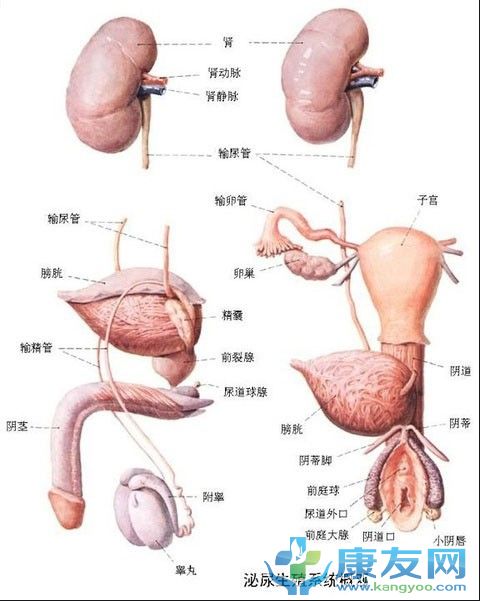 QQ截图20120615204233.jpg