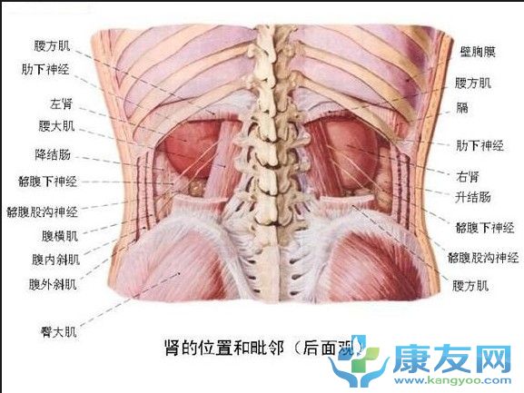 QQ截图20120615204242.jpg