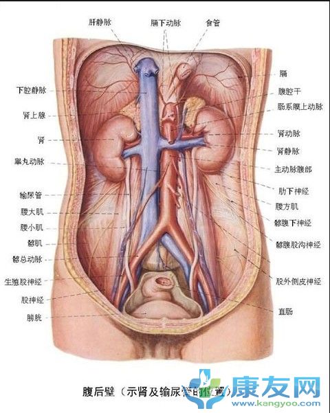 QQ截图20120615204258.jpg