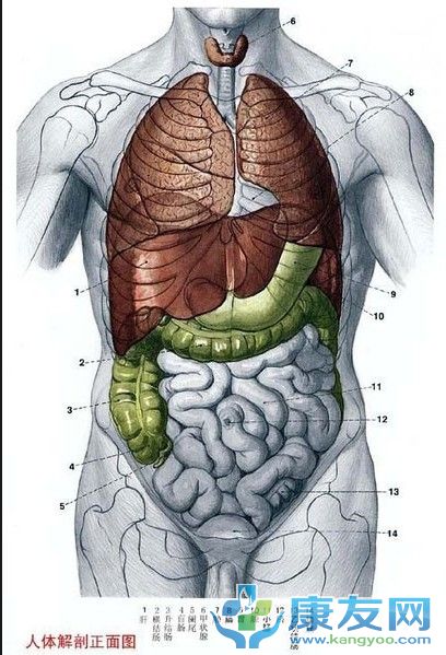 QQ截图20120615204317.jpg