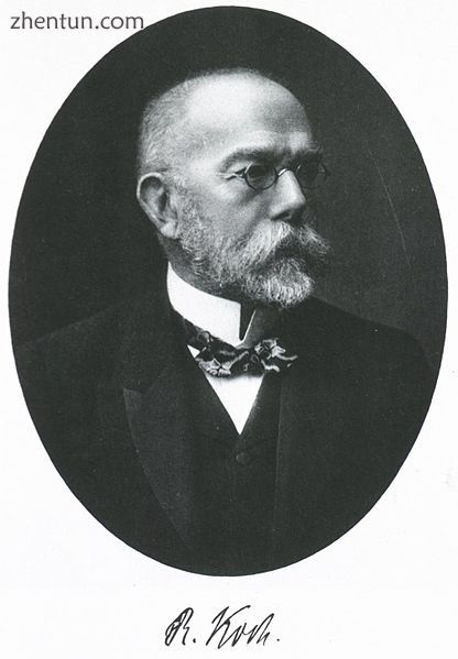 Robert Koch discovered the tuberculosis bacillus.