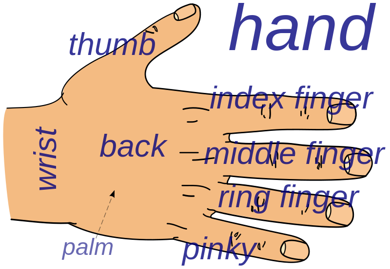 Human hand parts