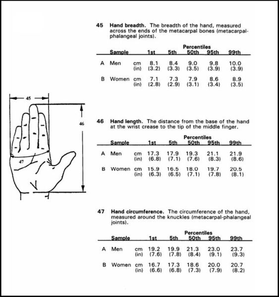 Static adult human physical characteristics of the hand.