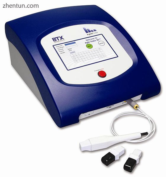 Electroporation System for experimental "DNA vaccine" delivery