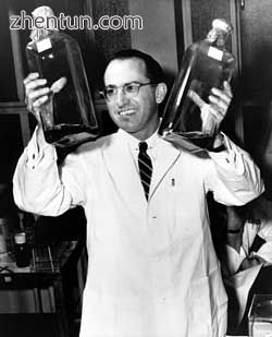 Jonas Salk in 1955 holds two bottles of a culture used to grow polio vaccines.