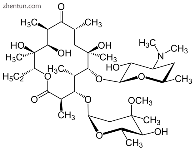 Molecular structure of Erythromycin A, an antibiotic used to treat DPB