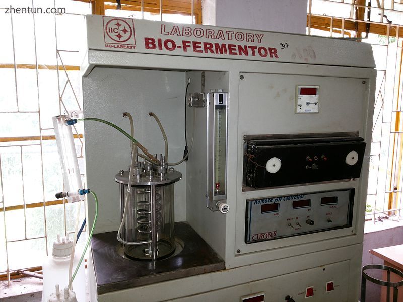 A laboratory fermentation vessel.jpeg