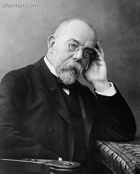 Robert Koch showed that microorganisms caused disease..jpg