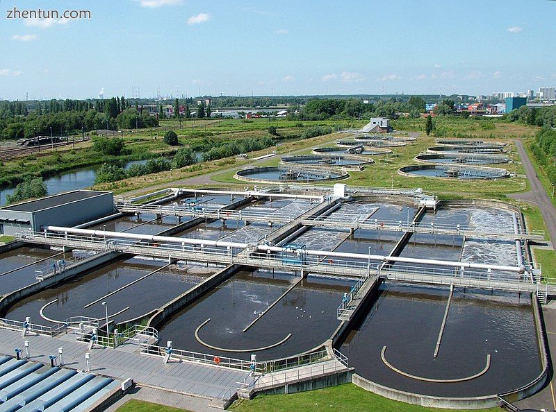 Wastewater treatment plants rely largely on microorganisms to oxidise organic matter..jpg