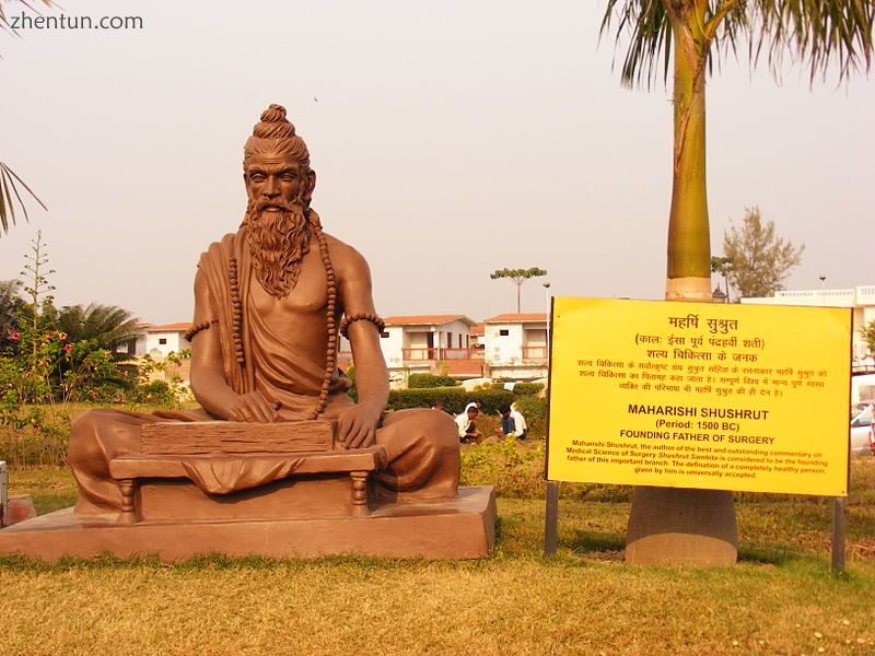 The Indian physician Sushruta developed early techniques for reconstructive nose.jpg