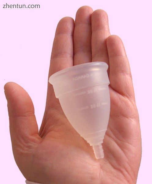 Menstrual cup.jpg