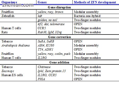 Plants, animals and human genes that are successfully targeted using ZFN, which .jpg