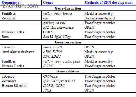 Plants, animals and human genes that are successfully targeted using ZFN, which .jpg