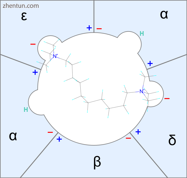 Fig.2 A simple illustration of how decamethonium binds to the nicotinic receptor.png