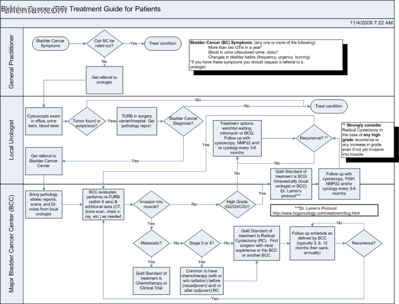 Flow chart of the Bladder Cancer Treatment Guide.png