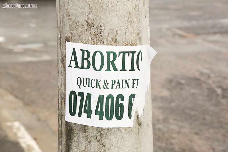 An abortion flyer in South Africa.jpg