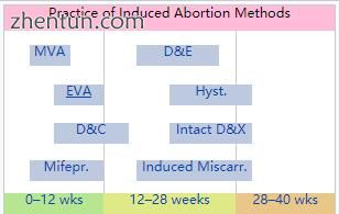 Gestational age may determine which abortion methods are practiced..jpg