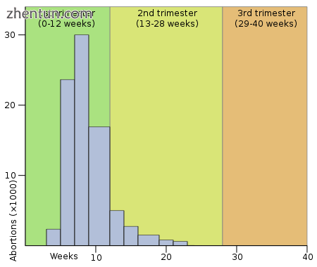 Histogram of abortions by gestational age in England and Wales during 2004. (left).png