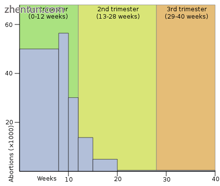 Abortion in the United States by gestational age, 2004. (right).png