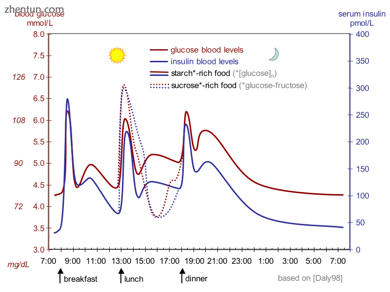The fluctuation of blood sugar (red) and the sugar-lowering hormone insulin (blu.png