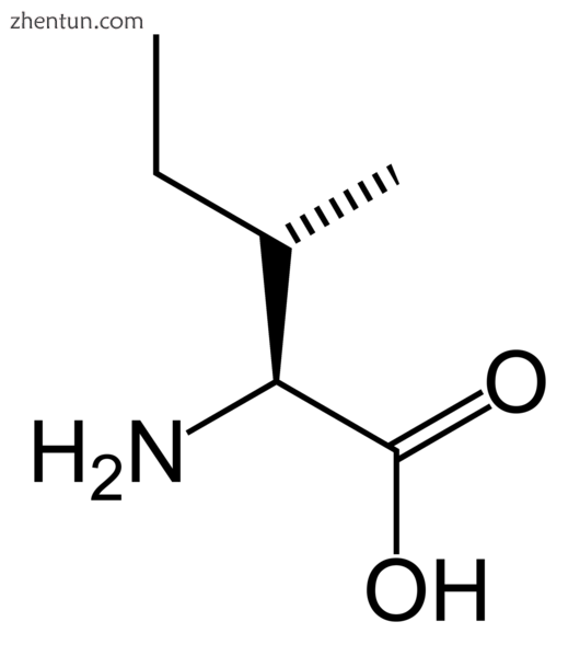 3-oxothiolase deficiency,Mitochondrial acetoacetyl-coenzyme A thiolase deficiency,.png