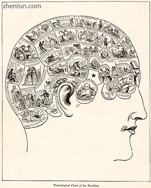 Phrenology summarized in an 1883 chart.jpg