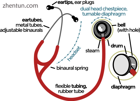Parts of a binaural stethoscope.png
