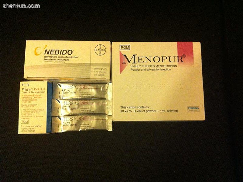 Testosterone gel sachets, Testosterone undecanoate injection (Nebido), Human cho.jpg