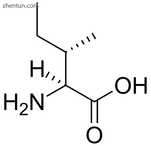 Isoleucine (pictured above), leucine, and valine are the branched-chain amino ac.png