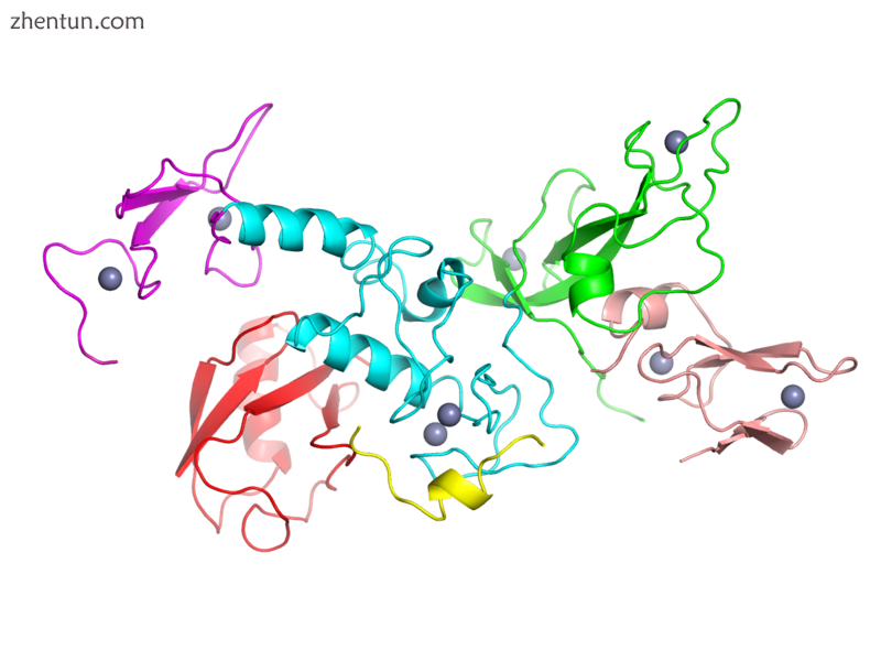 Parkin crystal structure.png