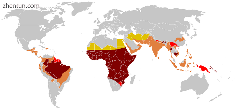 Modern distribution of malaria.png