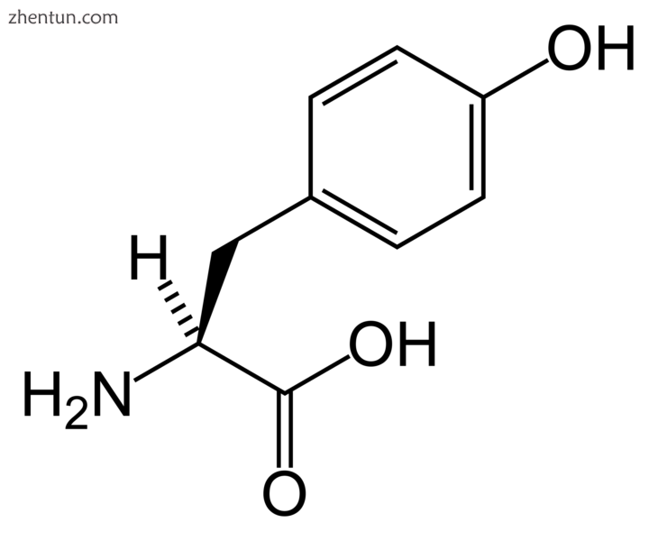 Tyrosine.png