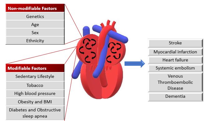 Non-modifiable risk factors (top left box) and modifiable risk factors (bottom l.jpg