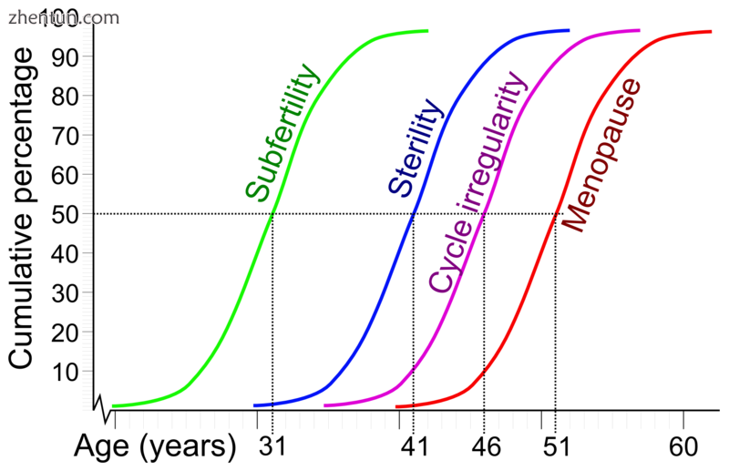 Cumulative percentage and average age for women reaching subfertility, sterility.png