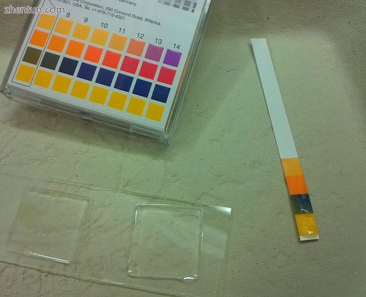 A pH indicator to detect vaginal alkalinization (here showing approximately pH 8.jpg