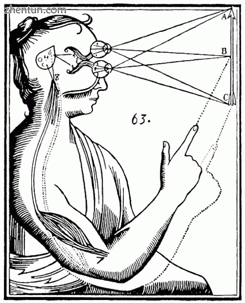 Diagram of the operation of the pineal gland for Descartes in the Treatise of Ma.gif