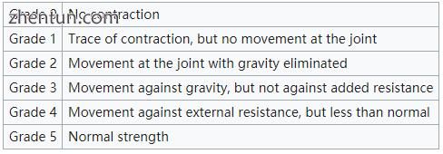 Grading of muscle strength.jpg