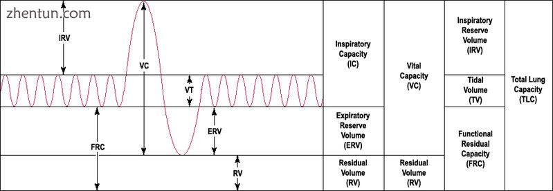 Lung volumes as described in the text..jpg