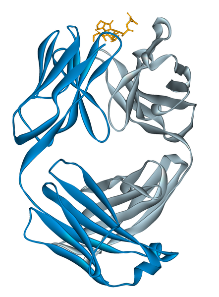 Chemical structure of alemtuzumab.png