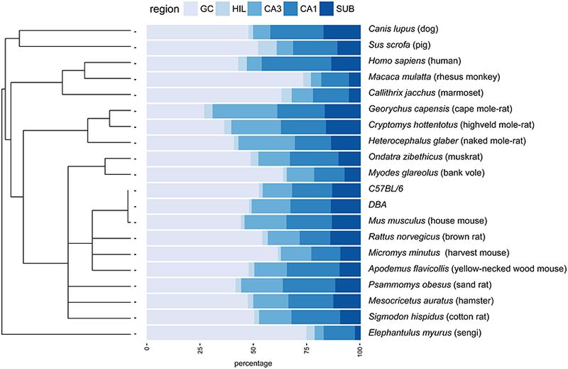 Cell number distribution across species.jpg