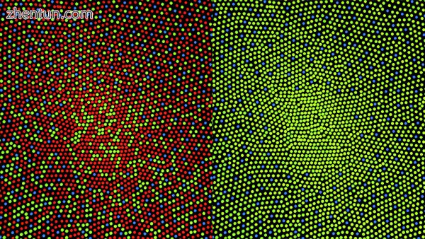 Illustration of the distribution of cone cells.jpg