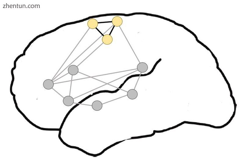 Proposed organization of motor-semantic neural circuits for action language comp.jpg