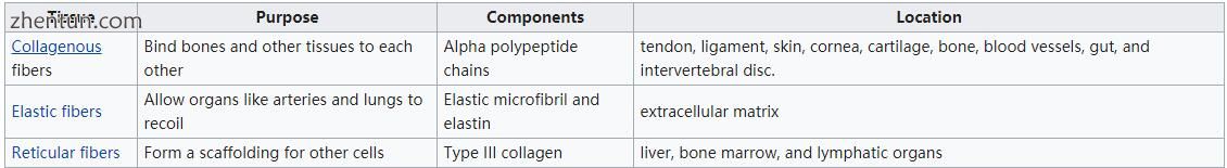 Types of fibers.jpg