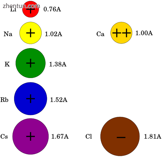 Despite the small differences in their radii,[13] ions rarely go th.png