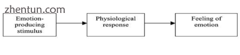 Simplified graph of James-Lange Theory of Emotion.png