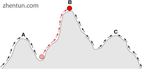 In this sketch of a fitness landscape, a population can evolve by following the .png